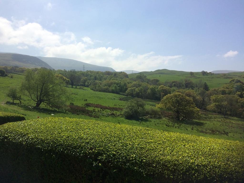 Rhiwiau Guesthouse Llanfairfechan Exterior foto